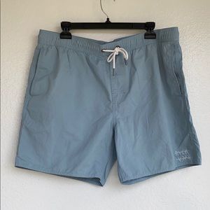 RVCA Powder Blue Swim Short Swim Trunk